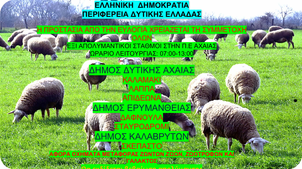 ped achaia