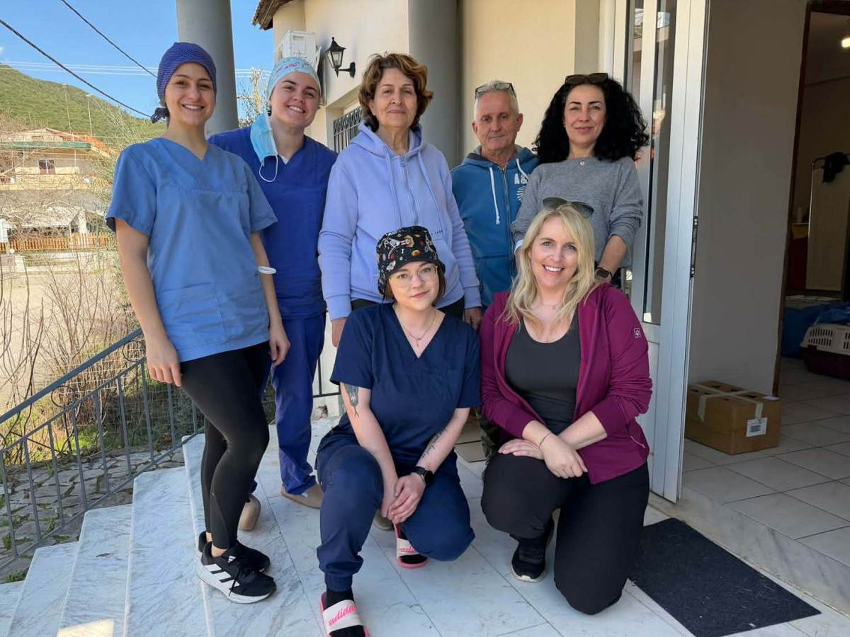 steiroseis nafpaktos