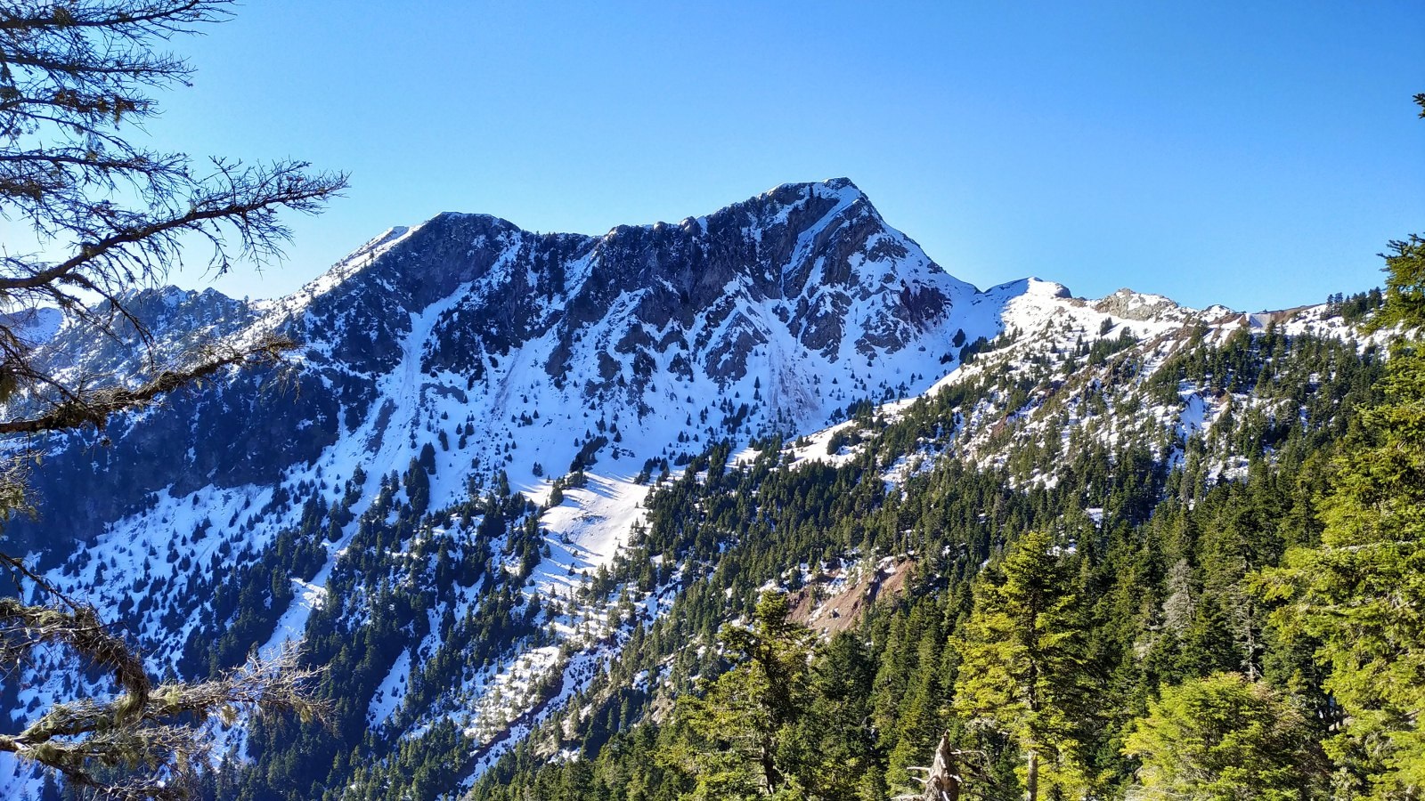 anninos konitsa 07 04 2020
