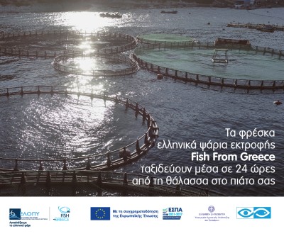 ΕΛΛΗΝΙΚΗ ΟΡΓΑΝΩΣΗ ΠΑΡΑΓΩΓΩΝ ΥΔΑΤΟΚΑΛΛΙΕΡΓΕΙΑΣ (ΕΛΟΠΥ) 