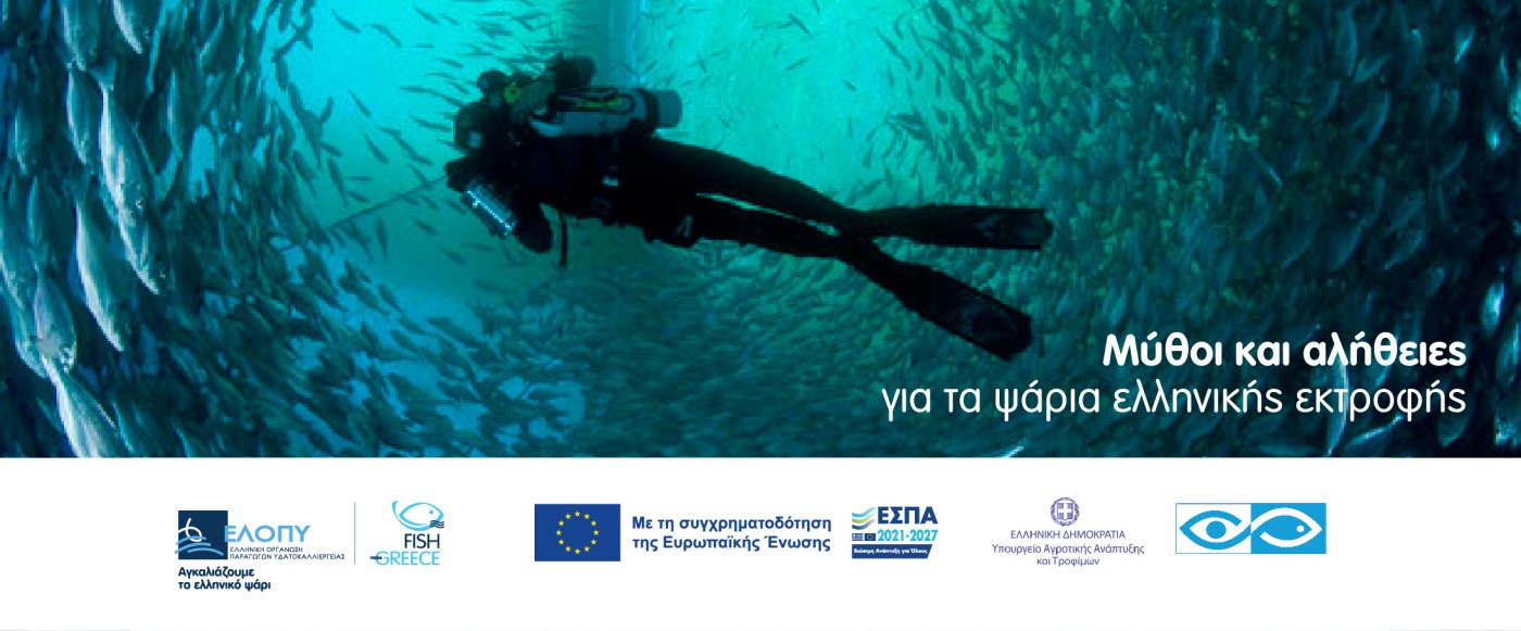 ΕΛΛΗΝΙΚΗ ΟΡΓΑΝΩΣΗ ΠΑΡΑΓΩΓΩΝ ΥΔΑΤΟΚΑΛΛΙΕΡΓΕΙΑΣ (ΕΛΟΠΥ) 