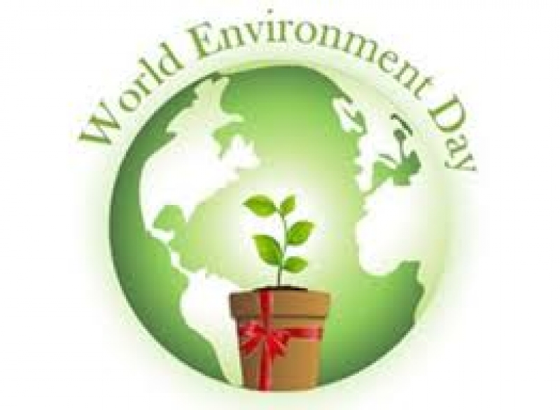 Παγκόσμια Ημέρα Περιβάλλοντος- Δράσεις μαθητών του Δήμου Ι.Π. Μεσολογγίου