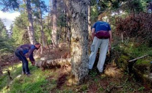 ΛΕΜΑΘ: Συντήρηση και σήμανση μονοπατιού Δρυμώνα – Τριανταφυλλιάς