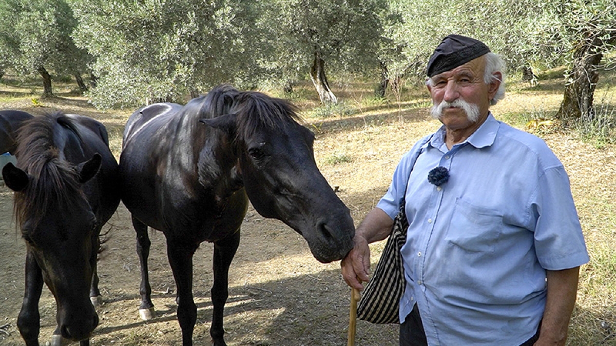 Ο μπαρμπαγιάννης και τα άλογά του | Greek village life | Η ζωή στο χωριό (βίντεο)