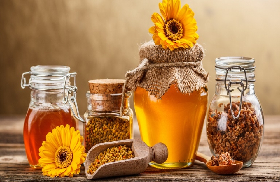 11ο Διαδικτυακό Συνέδριο Ελληνικού Μελιού και προϊόντων Μέλισσας