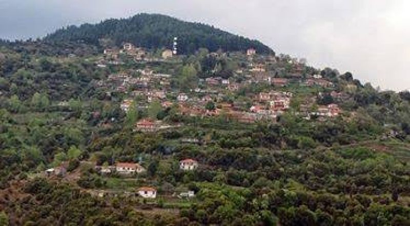 Oι Γρανιτσιώτες κόβουν την πίτα τους (29/1/2017)