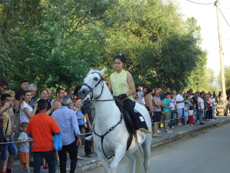 Eικόνες από τη «Γιορτή αλόγου» στα Αμπάρια Παναιτωλίου (11/6/2016)