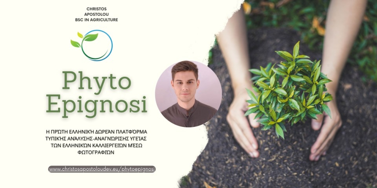 PhytoEpignosi – Η πρώτη Ελληνική δωρεάν πλατφόρμα που οι αγρότες μπορούν να ελέγξουν την τυπική υγεία των καλλιεργειών τους!