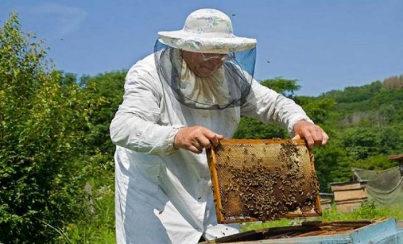 Πληρωμή για τις δράσεις μελισσοκομίας στην Αιτωλοακαρνανία