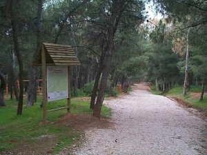 Νέα εποχή για την πυροπροστασία στη Δυτική Ελλάδα - Πυρανίχνευση με ΑΙ και λέιζερ