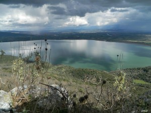 Οζερός: Η λίμνη με την πιο άγρια ομορφιά στην Αιτωλοακαρνανία