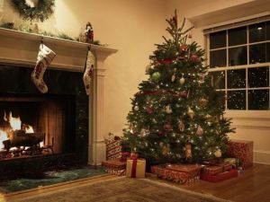 Συμβουλές για την επιλογή του τέλειου χριστουγεννιάτικου δέντρου