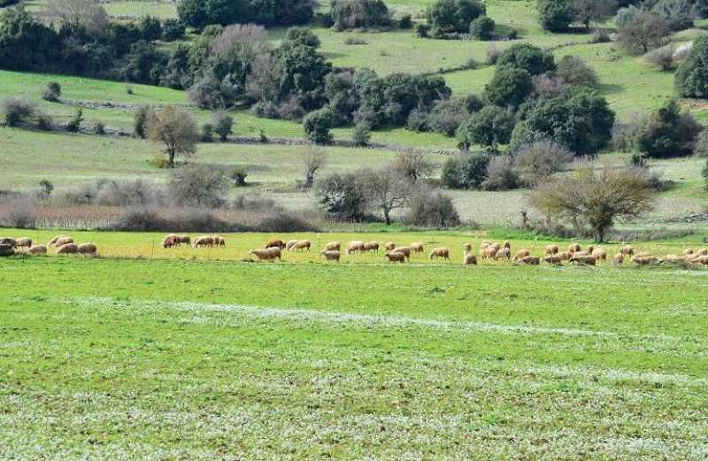 Άνοιξε η εφαρμογή για τροποποιήσεις/μεταβιβάσεις στα Βιολογικά