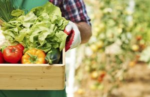 Online πρόγραμμα κατάρτισης για εξαγωγές αγροδιατροφικών προϊόντων
