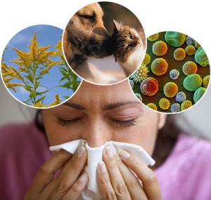 Αλλεργία. Ποιος ο μηχανισμός δράσης; Τι είναι και πώς μπορεί να αντιμετωπιστούν οι αλλεργίες; Υπάρχει τρόπος πρόληψης;