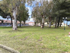 Χρήστος Μπούρας: Εργασίες καθαριότητας και στις Πανεπιστημιουπόλεις Αγρινίου και Μεσολογγίου