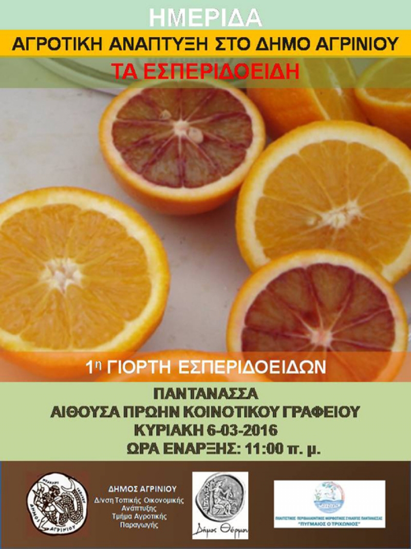 1η Γιορτή Εσπεριδοειδών στην Παντάνασσα