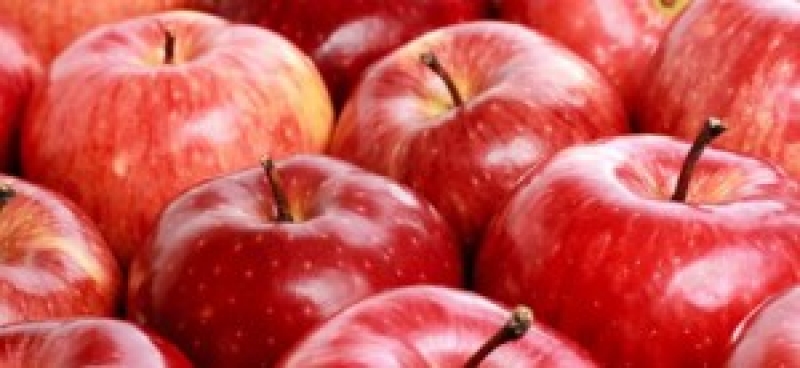 Διανομή μήλων στους δικαιούχους του Κοινωνικού Παντοπωλείου Αγρινίου