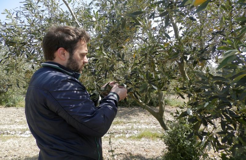 Προς ολοκλήρωση η αξιολόγηση για τους Γεωργικούς Συμβούλους