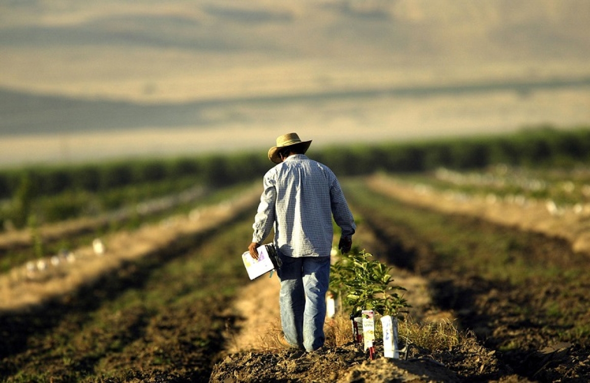 Τροποποίηση των αποφάσεων για ecoschemes, βιολογική γεωργία &amp; κτηνοτροφία