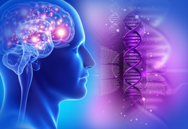 Οι σκέψεις… και όχι τα γονίδια, καθορίζουν την υγεία!