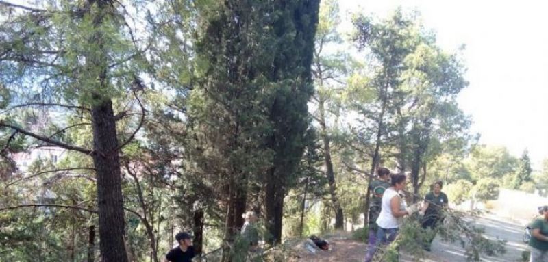 Ναύπακτος: Καθαρίζεται το αλσύλλιο του Ξηροπηγάδου