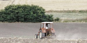 Έρχονται ανατροπές στις αγροτικές επιδοτήσεις