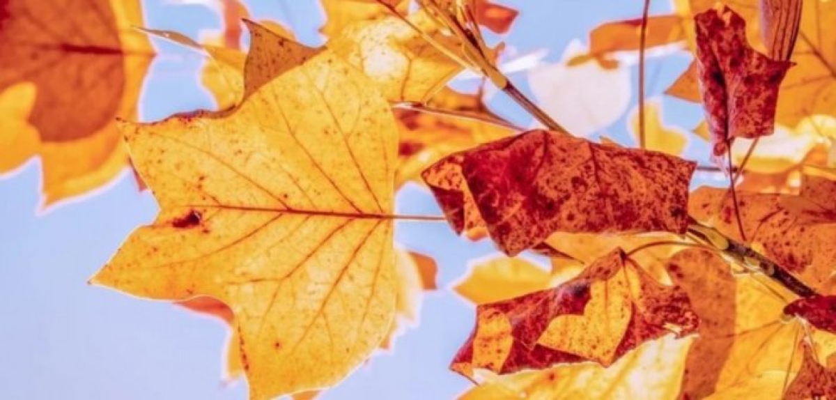 Πλησιάζει η «φθινοπωρινή ισημερία» – Πότε μπαίνει επίσημα το φθινόπωρο