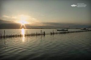 Μετάδοση ντοκιμαντέρ του Φορέα Διαχείρισης Λιμνοθάλασσας Μεσολογγίου από την ΕΡΤ2