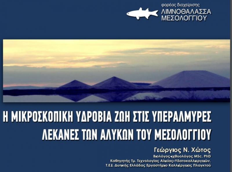 Η μικροσκοπική υδρόβια ζωή στις υπεράλμυρες λεκάνες των αλυκών του Μεσολογγίου