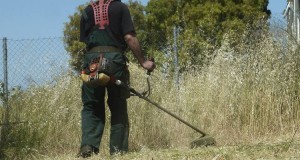 Αιτωλοακαρνανία: 130 καταγγελίες για ακαθάριστα οικόπεδα στην Πυροσβεστική - 90 στο Δήμο Αγρινίου