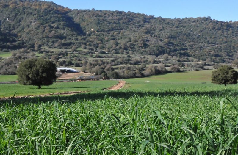 Βιολογικές καλλιέργειες: Ανακοίνωση για την ολοκλήρωση ελέγχων συμβάσεων