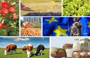 Δυσοίωνες προβλέψεις για την αγροτική παραγωγή στην Ε.Ε.