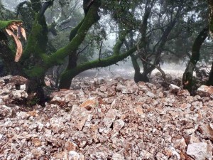 «Η Αριά και η καταστροφή στην Κομπωτή Αιτωλοακαρνανίας – Μια επείγουσα καταγγελία»