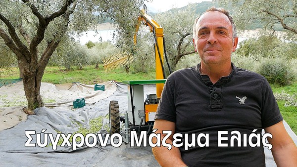 Έτσι Μαζεύει ο Δημήτρης τις Ελιές Σήμερα | Από την Παράδοση στην Τεχνολογία (Βίντεο)