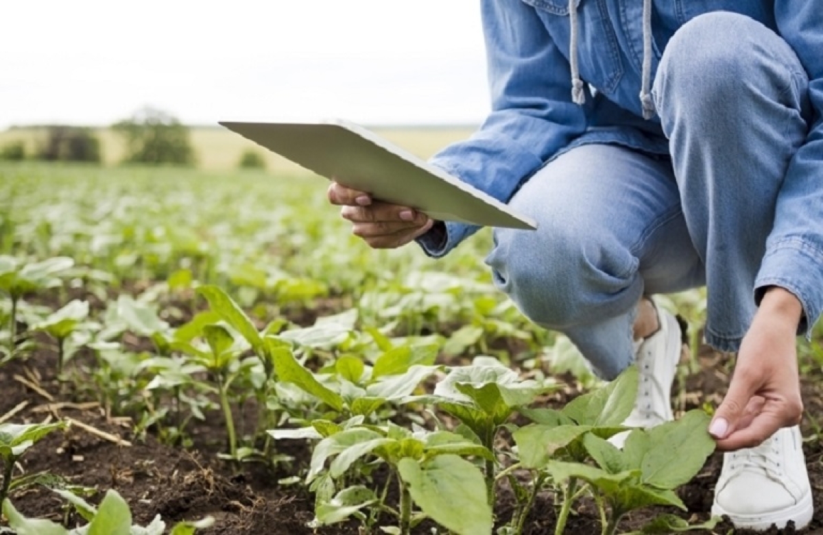 Ενεργοποιήθηκε η ηλεκτρονική υπηρεσία έκδοσης βεβαίωσης «Επαγγελματία Αγρότη»