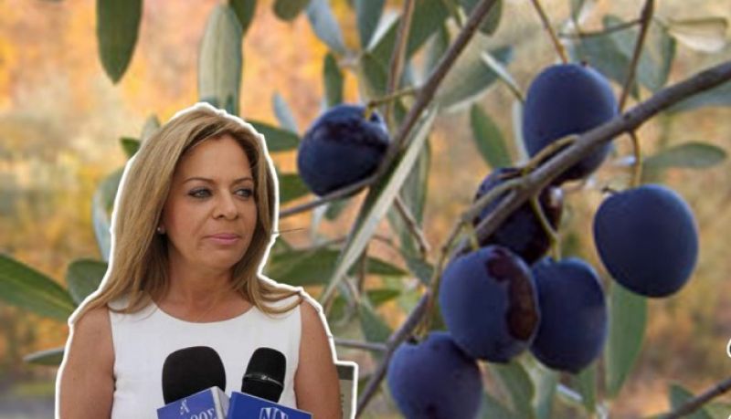Χρ. Σταρακά για τη δακοκτονία στη Ναυπακτία: «Κανένα ενδιαφέρον από εργολάβο»