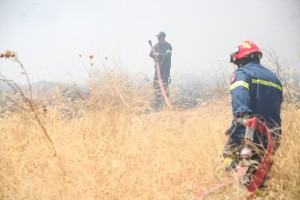 Κινητοποίηση της Πυροσβεστικής για φωτιά στη Συκιά - Κάηκαν περίπου 5 στρέμματα