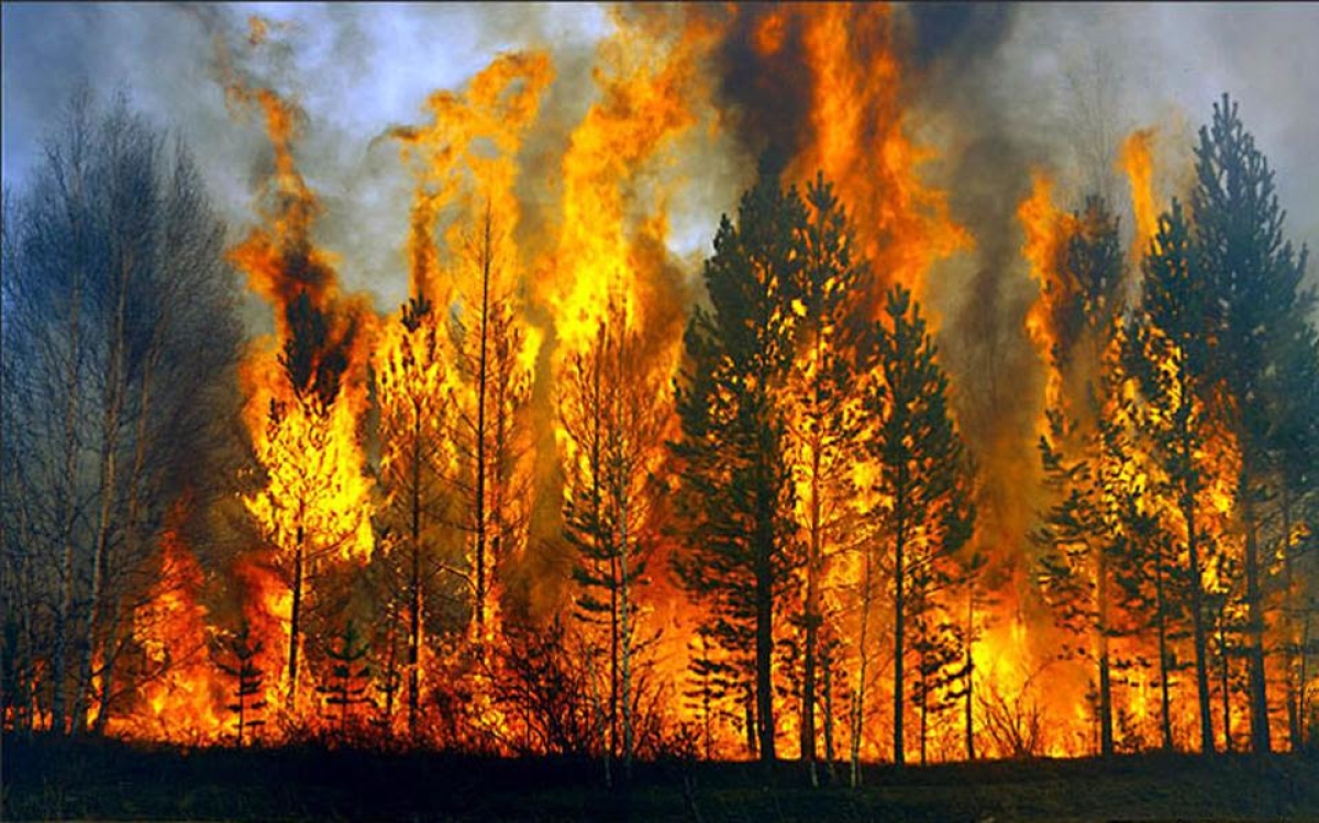 ΟΚΕ: Για επανάληψη των περσινών πυρκαγιών πρειδοποιεί ο Γεν.Δ/ντής Δασών