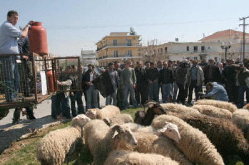 Συγκέντρωση αγροτών- κτηνοτρόφων στην Αμφιλοχία