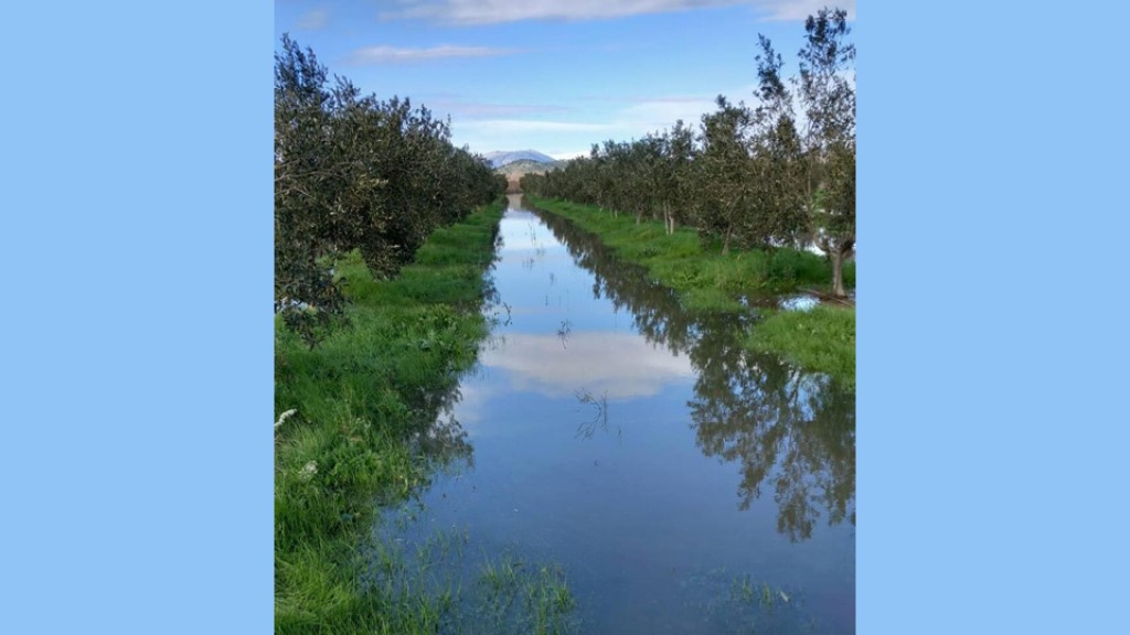 Πλημμύρισαν χωράφια εσπεριδοειδών στην Κατοχή από τα νερά των φραγμάτων – Τεράστια η ζημιά για τους παραγωγούς
