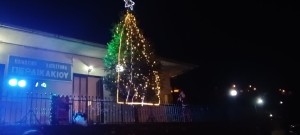 «Οι Περδικακιώτισσες»: Γλέντι στο χωριό μετά το άναμμα του Χριστουγεννιάτικου δέντρου (φωτο)