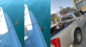 Εντοπισμός και κατάσχεση παράνομων αλιευτικών εργαλείων (Κιούπια – παγίδες για χταπόδια) σήμερα στο Μεσολόγγι