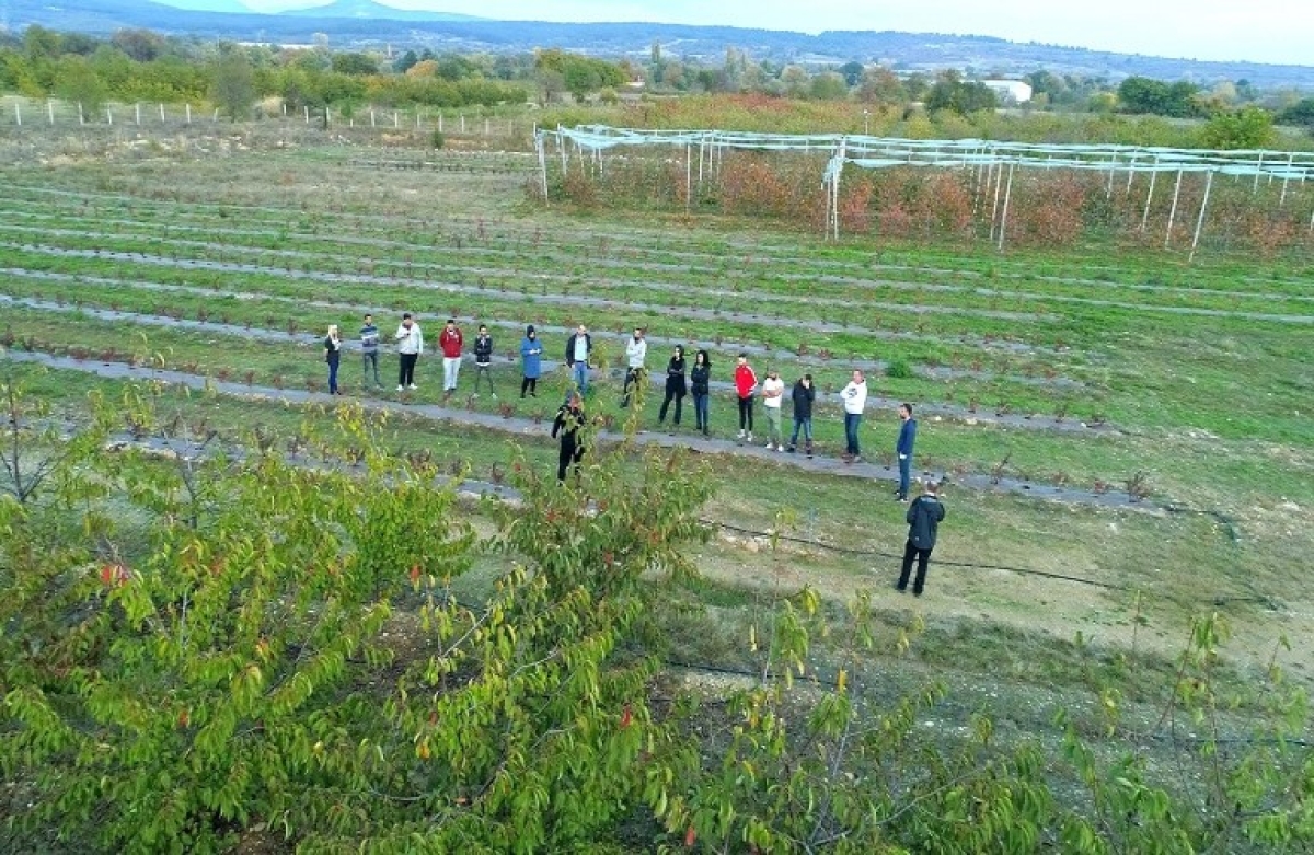 Ξεκίνησαν οι εγγραφές στα Αγροτικά ΙΕΚ