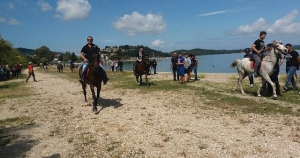 Βόνιτσα: Γιορτή του Αλόγου… Πανέμορφα άλογα κάνουν βόλτες στην Σάλτινη (ΔΕΙΤΕ ΦΩΤΟ)