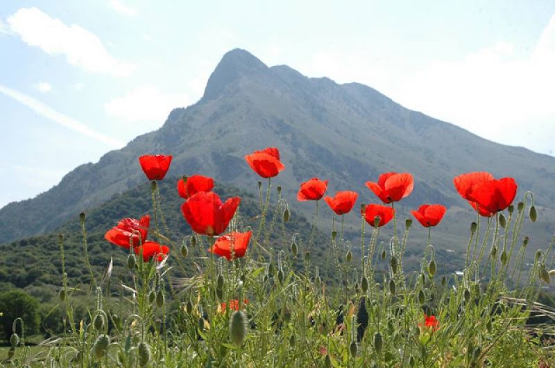 Πρόγνωση καιρού εβδομάδος 27/3-2/4 για το Αγρίνιο...