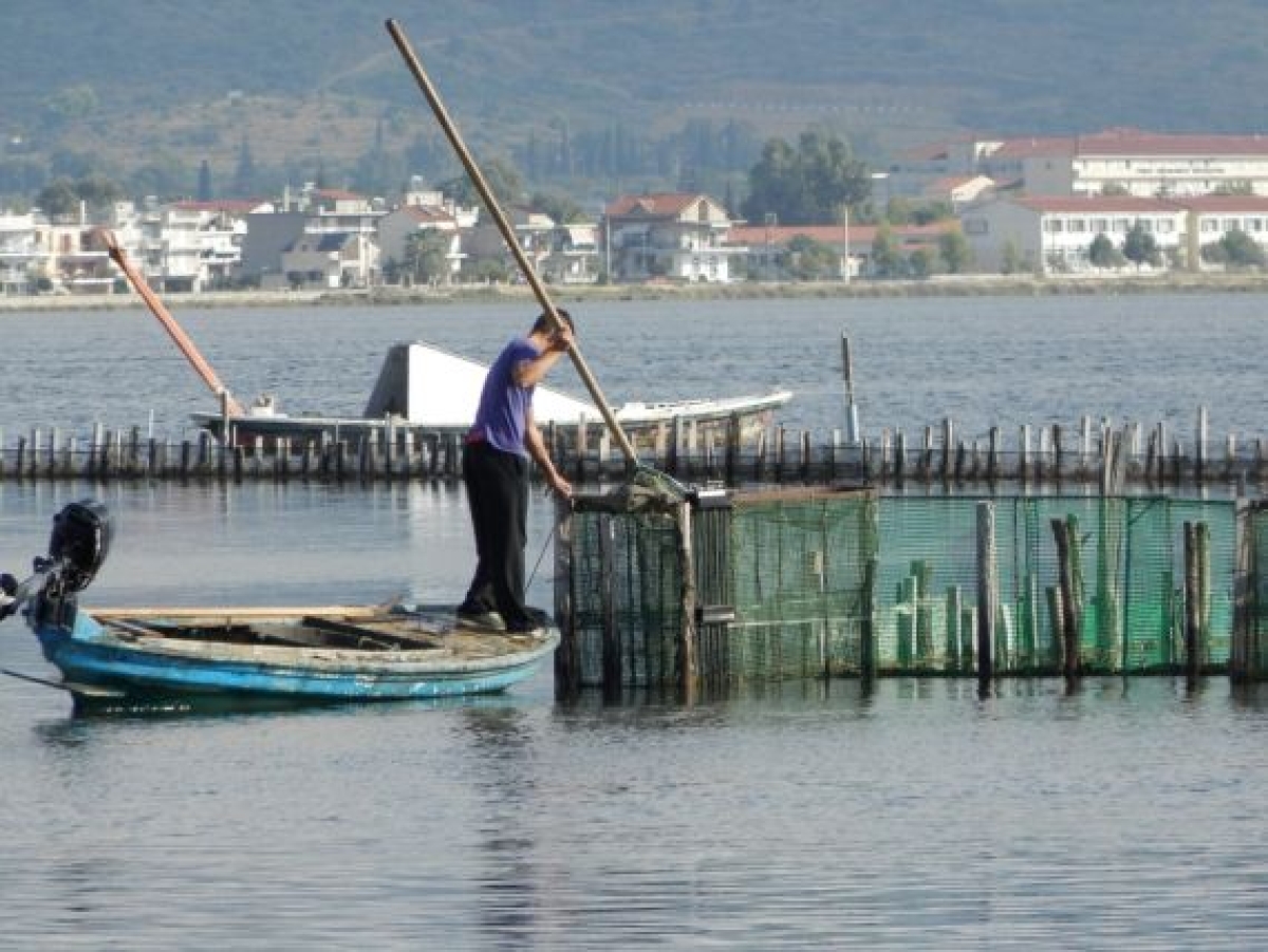 Πιστοποίηση των ιχθυρών της λιμνοθάλασσας το επόμενο βήμα μετά την ένταξη της Παραδοσιακής Αλιείας στην Άυλη Πολιτιστική Κληρονομιά