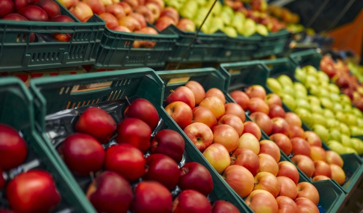 Φρούτα – Λαχανικά: Αυξημένες κατά 36,96% οι εισαγωγές τον Μάρτιο 2024