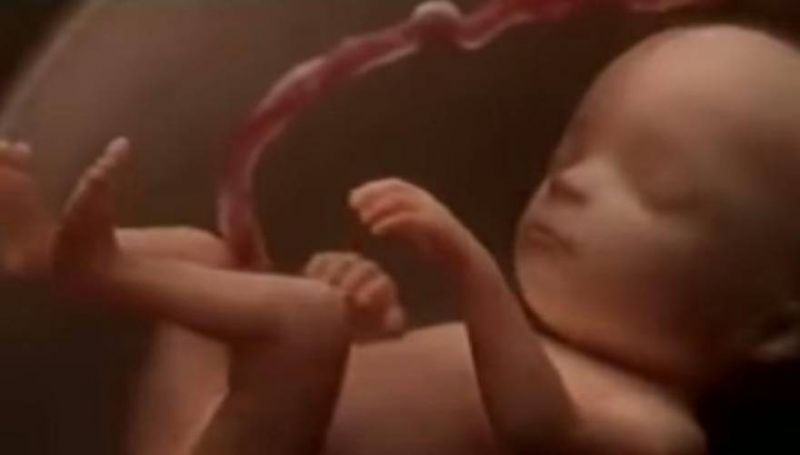 Το θαύμα της ζωής: Από τη σύλληψη στη γέννηση (βίντεο)