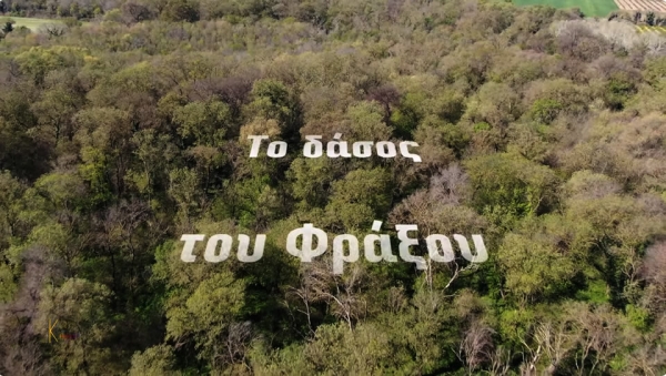 Το Δάσος του Φράξου στο Λεσίνι Αιτωλ/νίας, ένα Βασίλειο φυτών και ζώων, "Φραξιάς" (βίντεο)